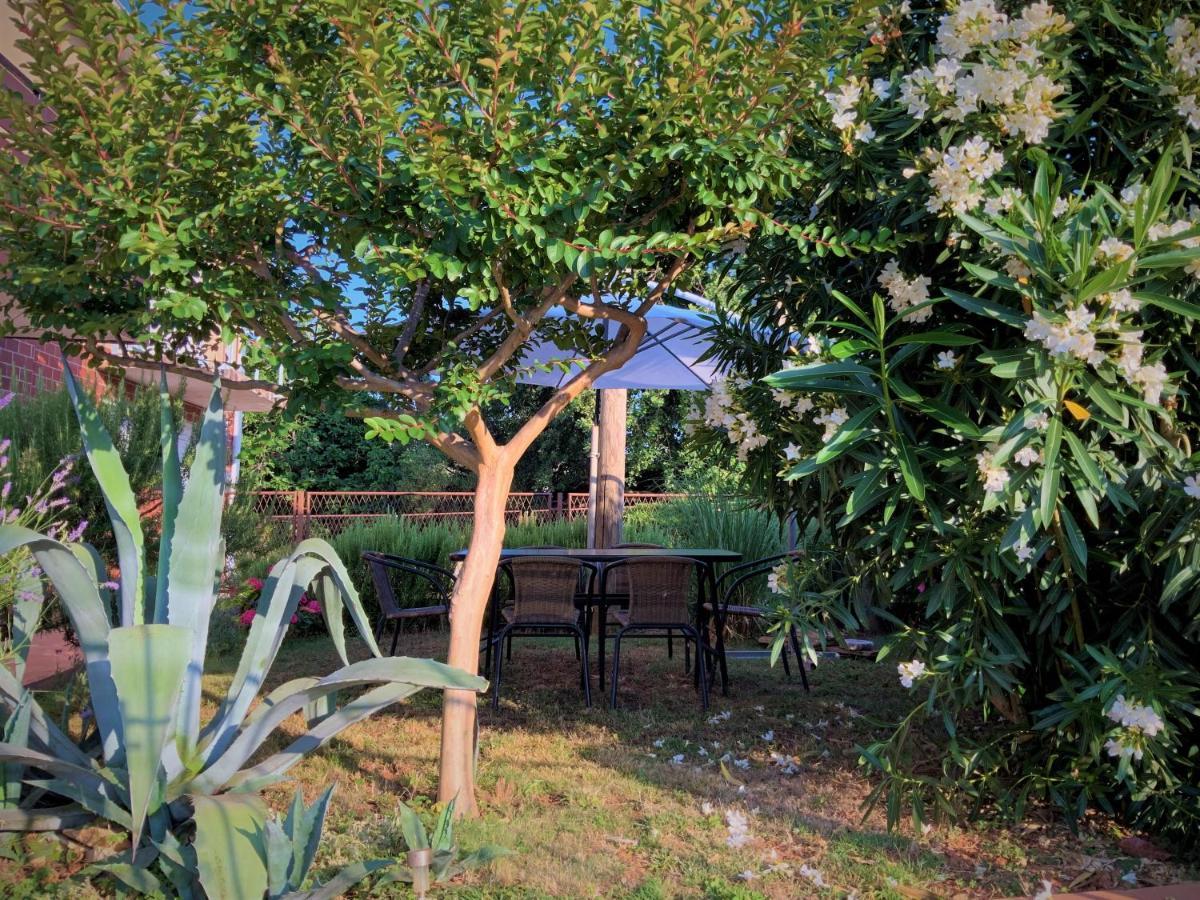 Apartment Agava Istria - Family Vacation Rental With Free Parking, Garden, Wifi Ližnjan Exterior foto
