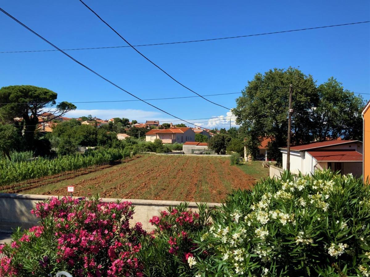 Apartment Agava Istria - Family Vacation Rental With Free Parking, Garden, Wifi Ližnjan Exterior foto