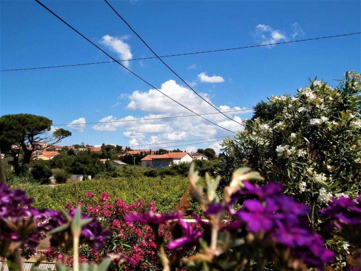 Apartment Agava Istria - Family Vacation Rental With Free Parking, Garden, Wifi Ližnjan Exterior foto