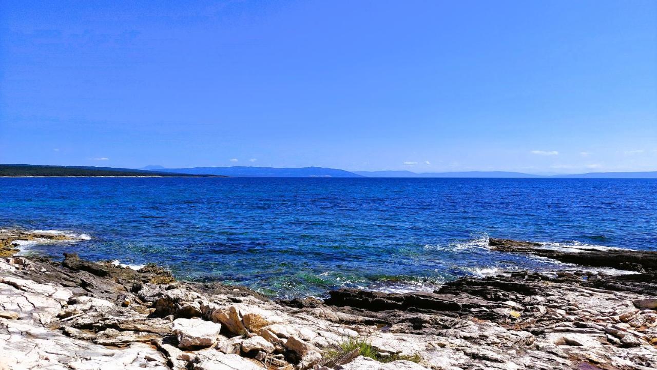 Apartment Agava Istria - Family Vacation Rental With Free Parking, Garden, Wifi Ližnjan Exterior foto